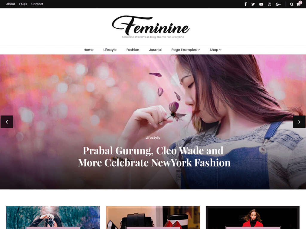 free SEO friendly WordPress themes